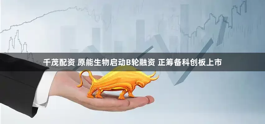 千茂配资 原能生物启动B轮融资 正筹备科创板上市