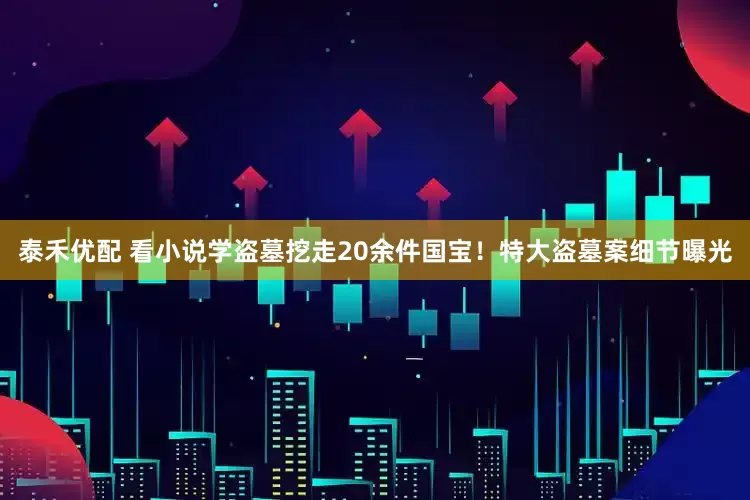 泰禾优配 看小说学盗墓挖走20余件国宝！特大盗墓案细节曝光