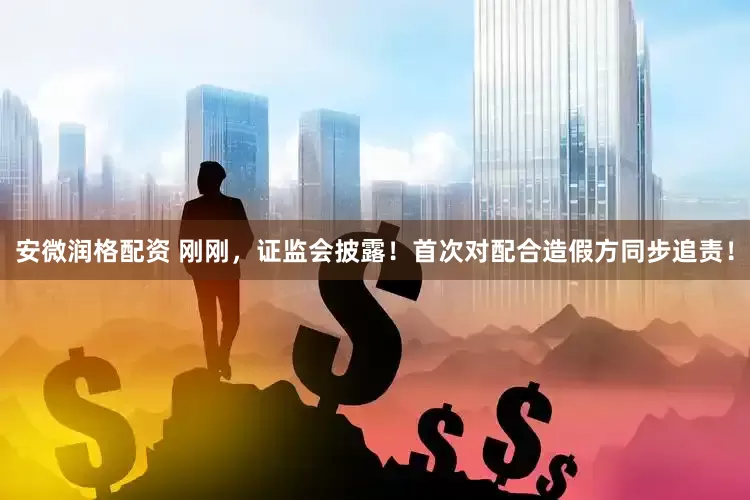 安微润格配资 刚刚，证监会披露！首次对配合造假方同步追责！